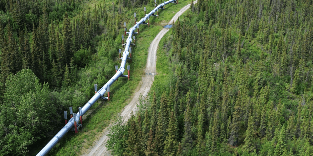 SHEA Cross Country Pipelines Training
