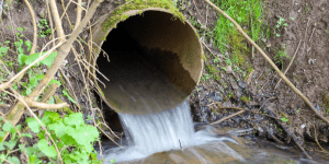 Blog | Jason Rowley Ltd SHEA Sewer Training - Wastewater